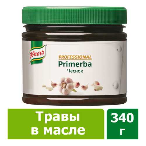 Приправа в растительном масле Knorr Primerba чеснок 340 г в Спар