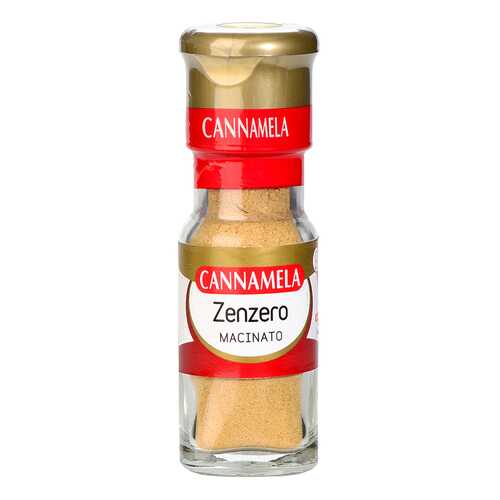Приправа Cannamela имбирь молотый 20 г в Спар