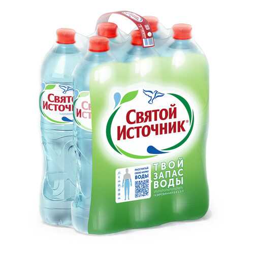 Вода питьевая Святой Источник газированная 1.5 л 6 штук в упаковке в Спар