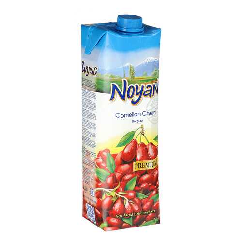 Кизиловый нектар Noyan premium 1л в Спар